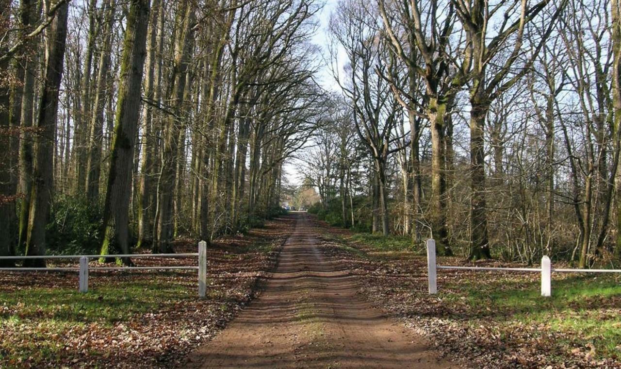 Domaine De La Haute-Porte Souvigné-sur-Sarthe Buitenkant foto